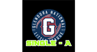 Single A Spring 2025 Schedule